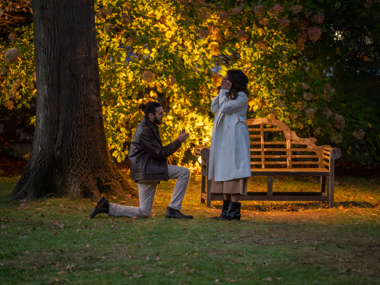 Chestnut Street Park